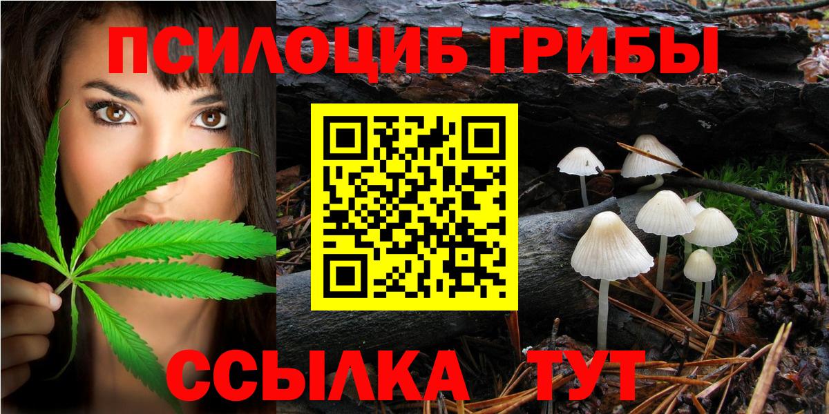 Галлюциногенные грибы GOLDEN TEACHER Ессентуки