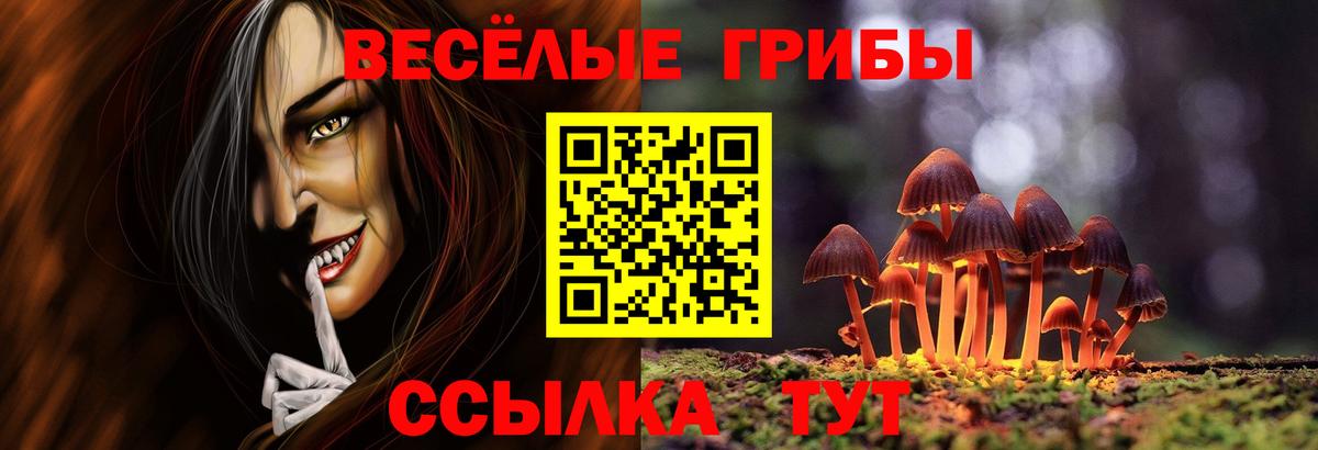 Ессентуки  Галлюциногенные грибы мухоморы  Вход с VPN 